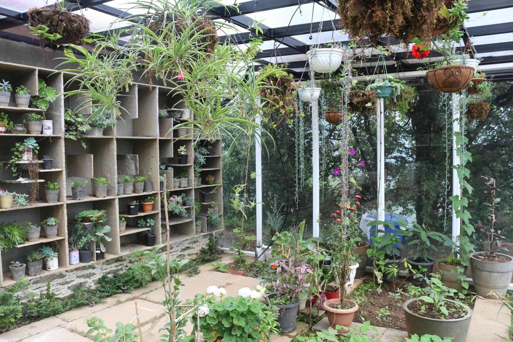 Dunagiri Retreat Dwarahat Екстериор снимка